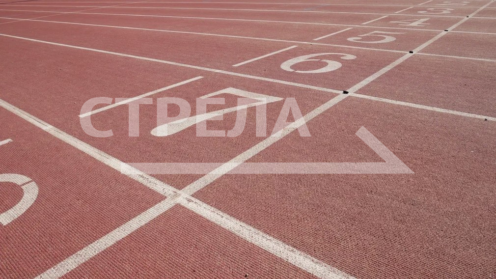 Брянщина заняла пятнадцатое место в рейтинге реализации комплекса ГТО