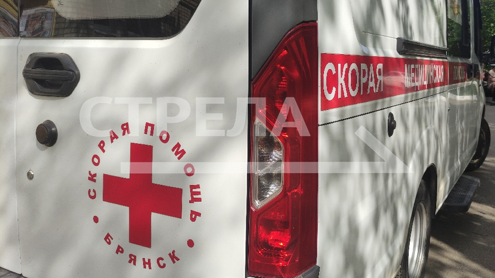 Автопарк брянских медорганизаций за девять месяцев обновили на 645 автомобилей