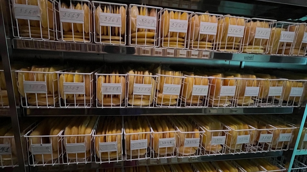 Брянскую станцию переливания крови за неделю посетили 517 доноров