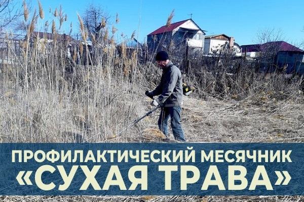 Профилактический месячник  «Сухая трава» на территории Рогнединского района