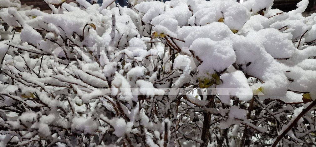 Энергетики «Брянскэнерго» оперативно ликвидируют последствия непогоды