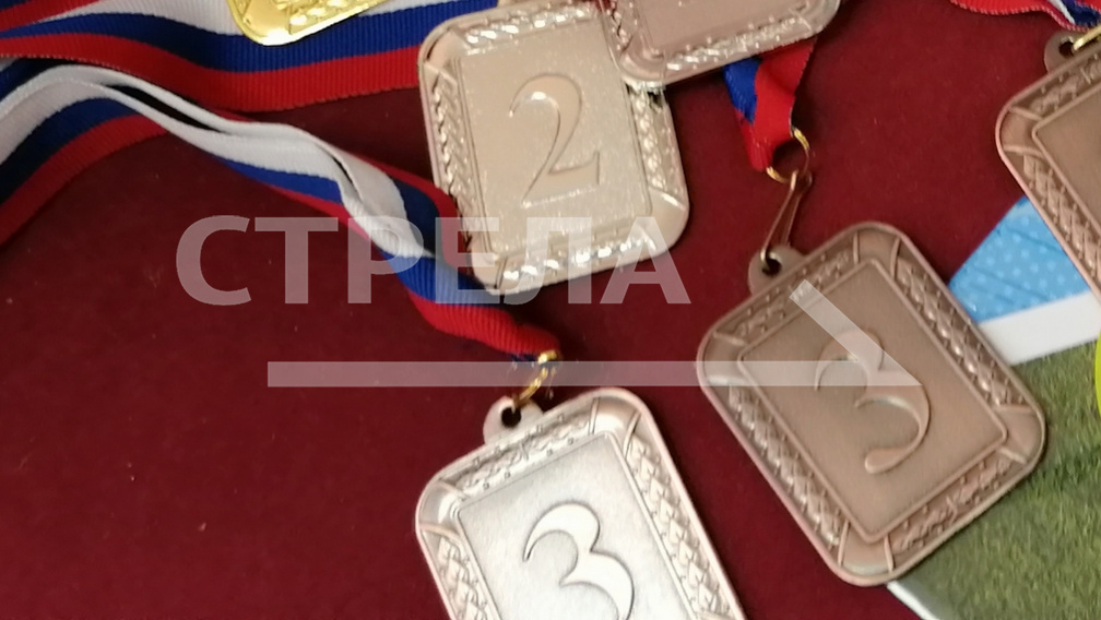 Брянский спортсмен завоевал бронзовую медаль на Кубке России по самбо