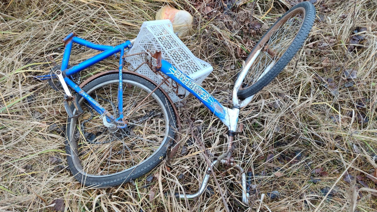 Госавтоинспекция Брянской области информирует