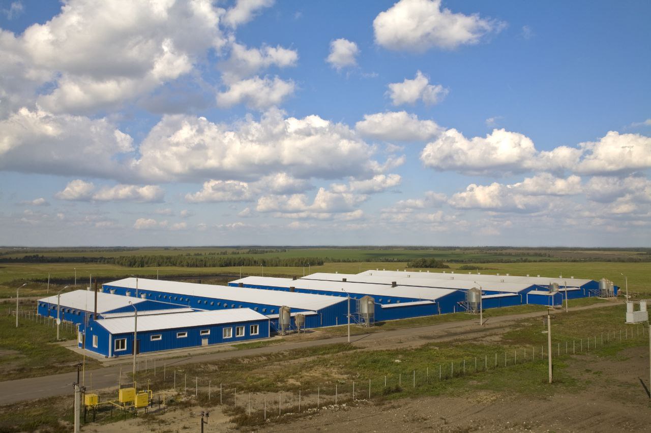 В Брянской области реализуется инвестиционный проект по развитию сельской территории