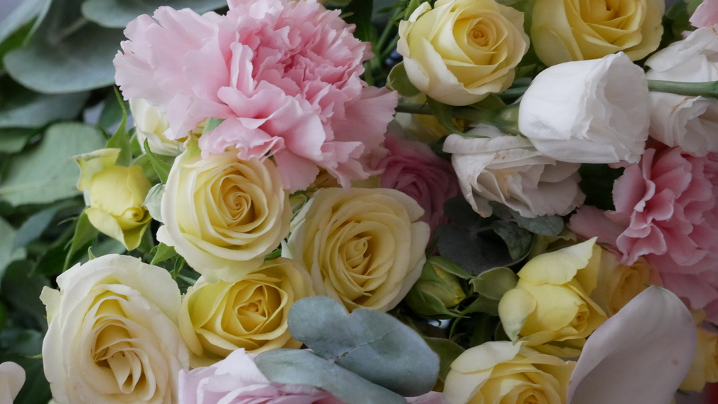 Губернатор Александр Богомаз поздравил двух брянских врачей с высокими госнаградами