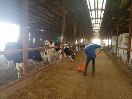 В Брянской области нацпроект «Демография» позволил решить вопросы трудоустройства