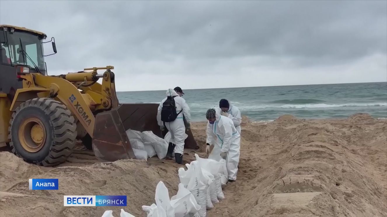 Брянские волонтеры помогают ликвидировать последствия разлива нефти на побережье Анапы