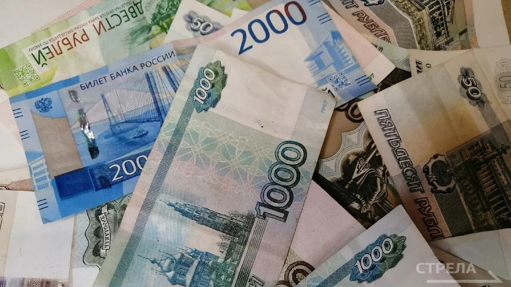 На Брянщине в 2024 году заключили 686 социальных контрактов