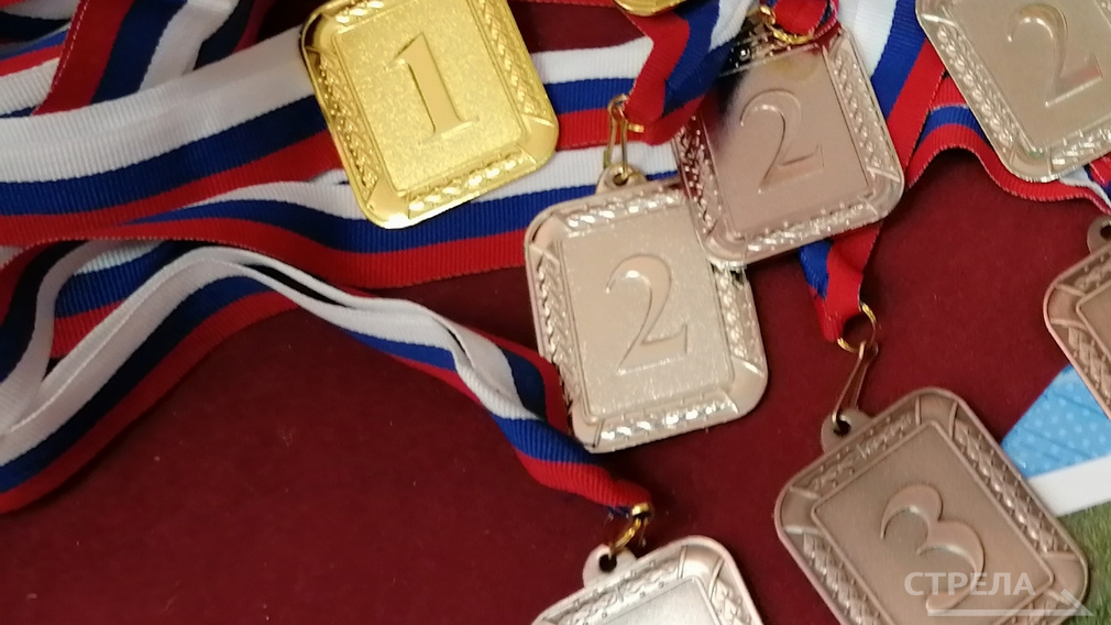 За год более 1 900 брянских спортсменов стали победителями престижных состязаний