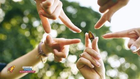 Студентка из Брянской области вошла в число дипломантов VIII сезона Всероссийской олимпиады студентов «Я – профессионал»