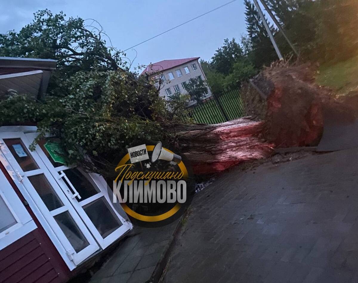 Глава Климовского района Исаев обратился к жителям из-за урагана