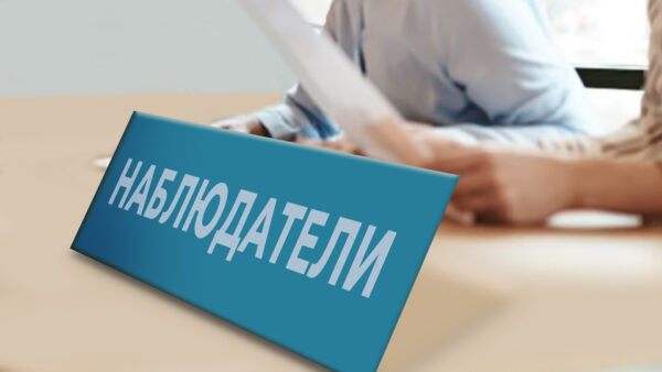 В президентском Совете по правам человека похвалили брянских наблюдателей