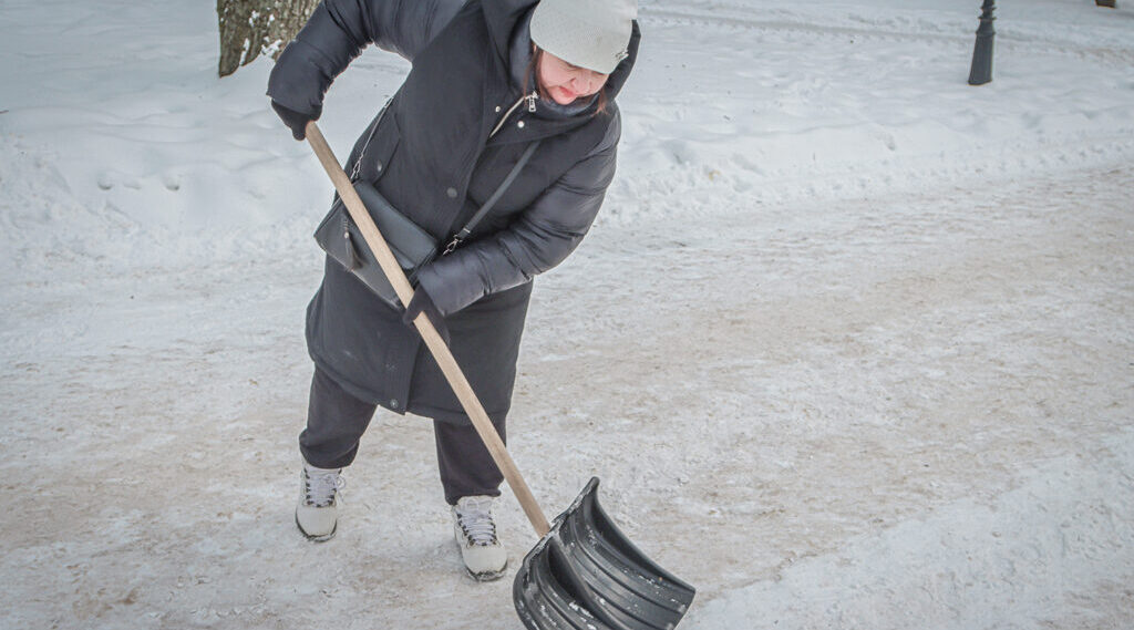 В Брянске  уже более тысячи человек присоединились к «Снежному десанту»