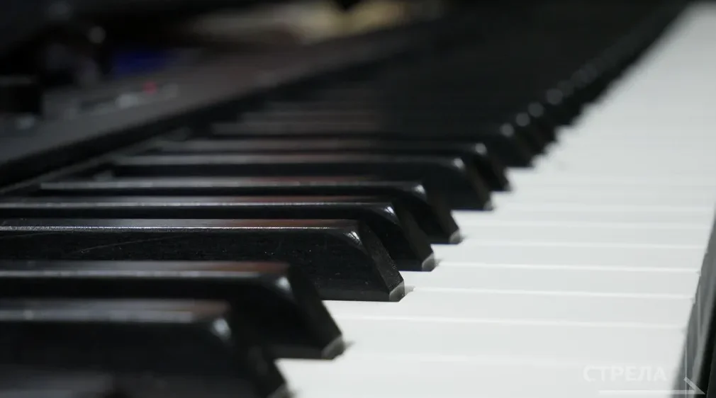 В Брянской области на модернизацию детских школ искусств было выделено почти 470 млн рублей