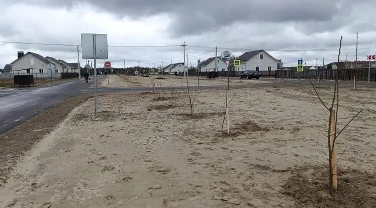 В брянском селе Журиничи посадили плодовых деревьев