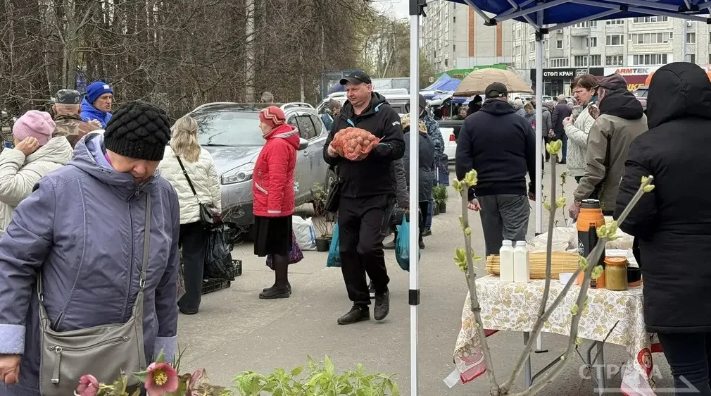 На ярмарке выходного дня в Брянске свои товары представили производители из разных районов области