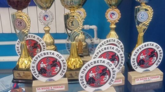 В Брянске прошел традиционный Кубок Пересвета по айкидо
